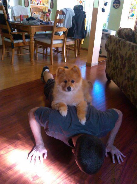 Прикольные картинки