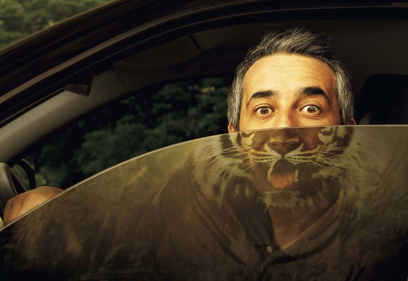 Экстремальные аттракционы с опасными животными