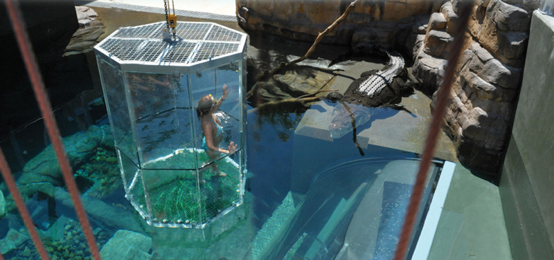 Экстремальные аттракционы с опасными животными