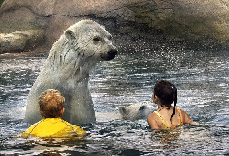 Экстремальные аттракционы с опасными животными