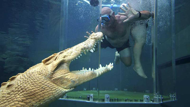 Экстремальные аттракционы с опасными животными