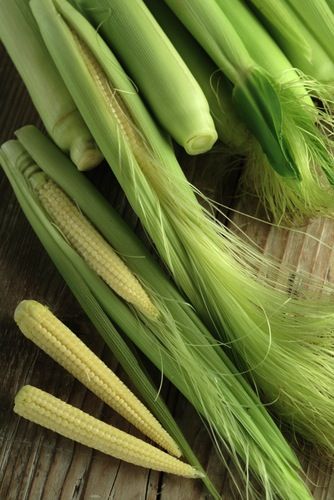 11 продуктов питания, которые растут необычным образом