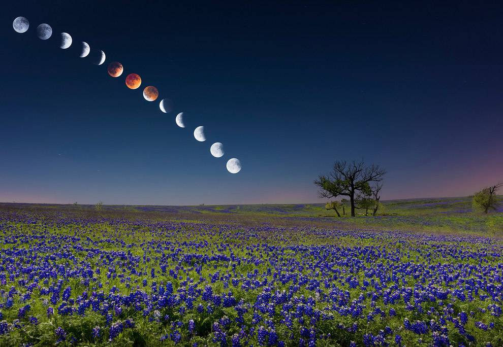 2014 год в фотографиях