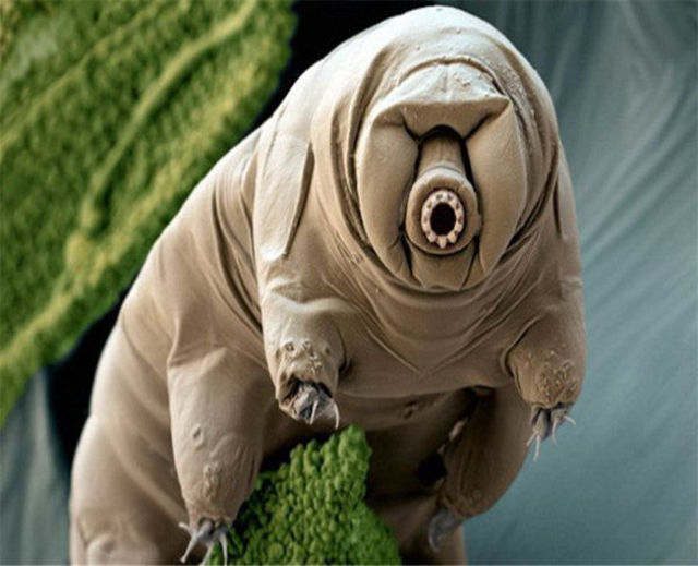 WTF! Что тут происходит?