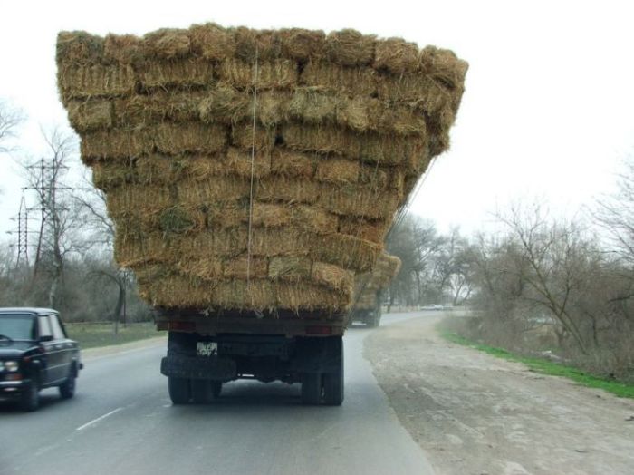 Железные кони всё стерпят (9 фото)