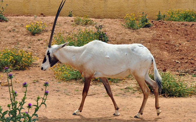 15 невероятных научных революционных достижений
