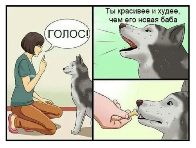 Смешные комиксы