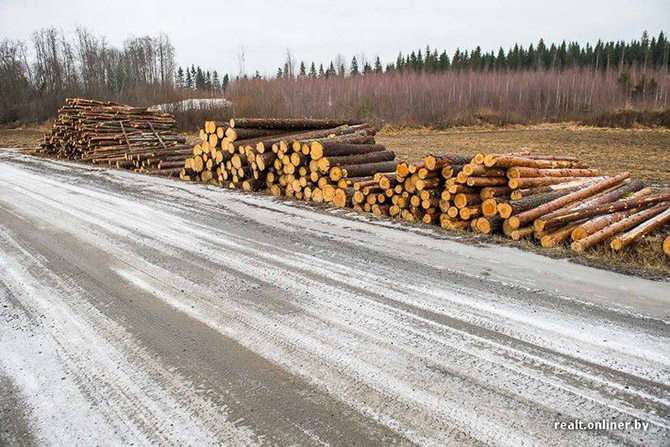 Как живется в финской деревне
