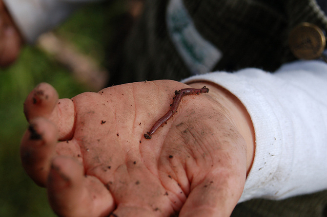 Безумные профессии, которые взорвут ваш мозг