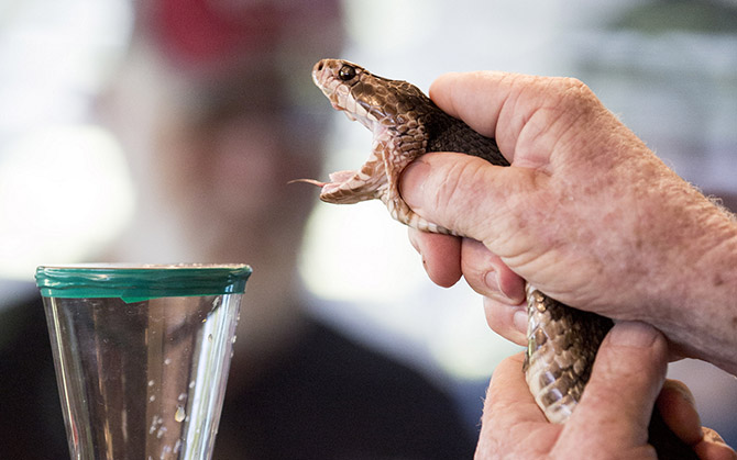 Безумные профессии, которые взорвут ваш мозг