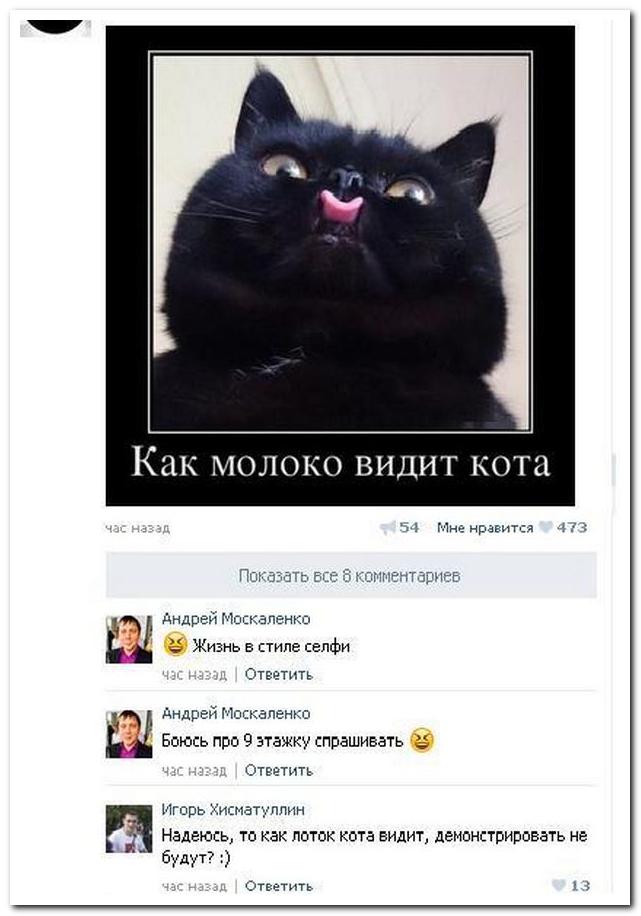 Смешные комментарии из социальных сетей