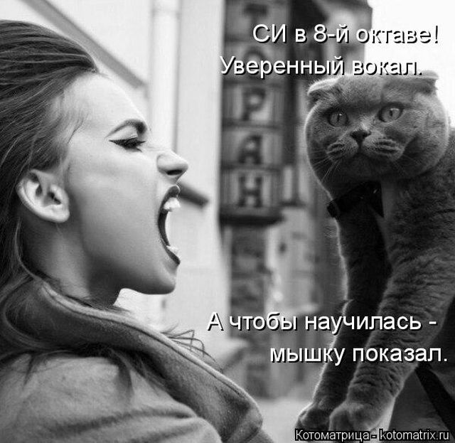 Лучшие котоматрицы недели