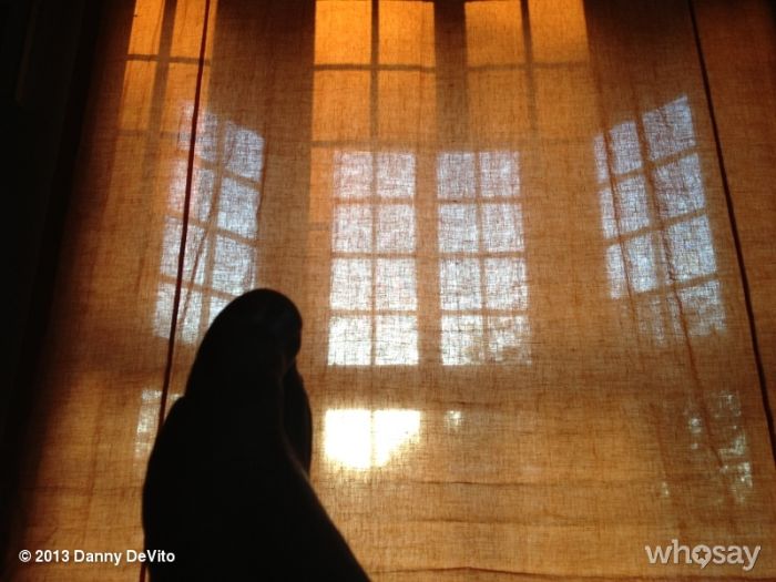 Дэнни Де Вито и приключения ноги тролля