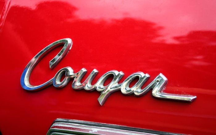 Эмблемы и логотипов ретро автомобилей (158 фото)