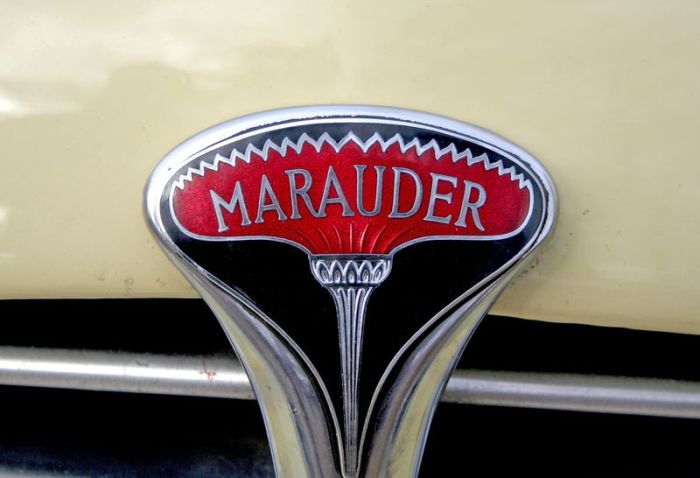 Эмблемы и логотипов ретро автомобилей (158 фото)