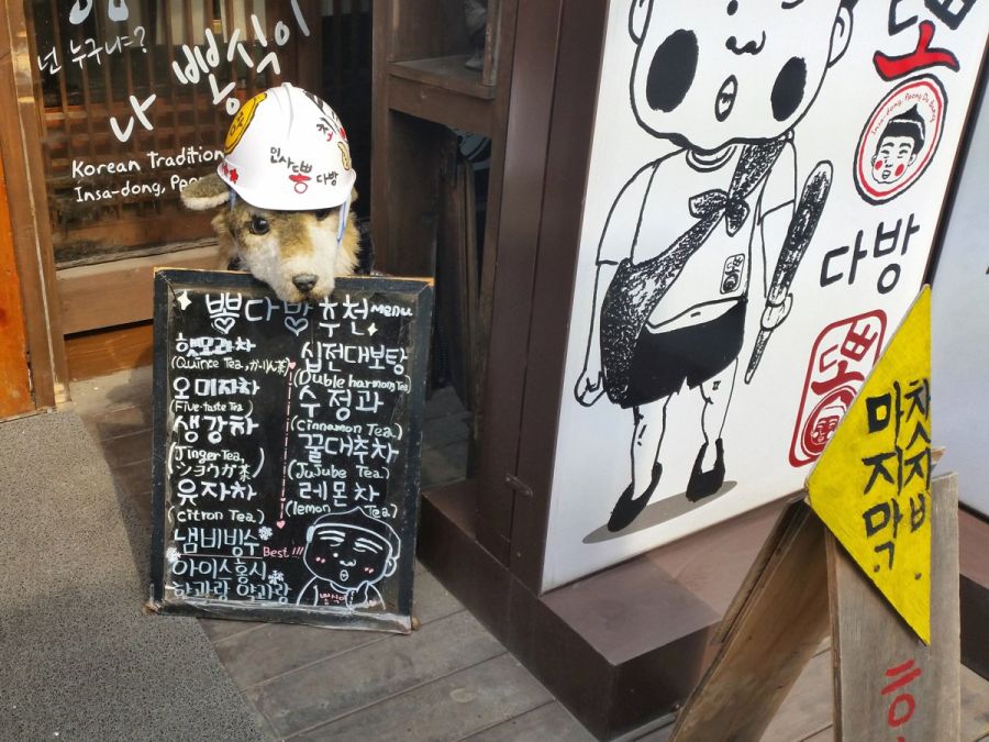 Гастрономическое путешествие по улицам Кореи (29 фото)