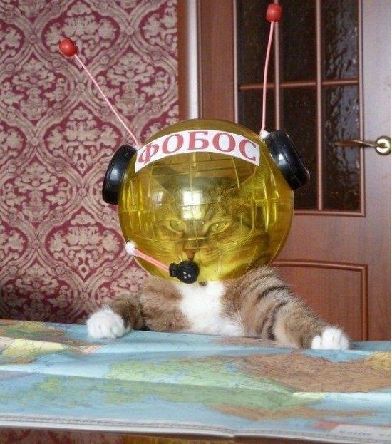 Прикольные картинки  (101 фото)