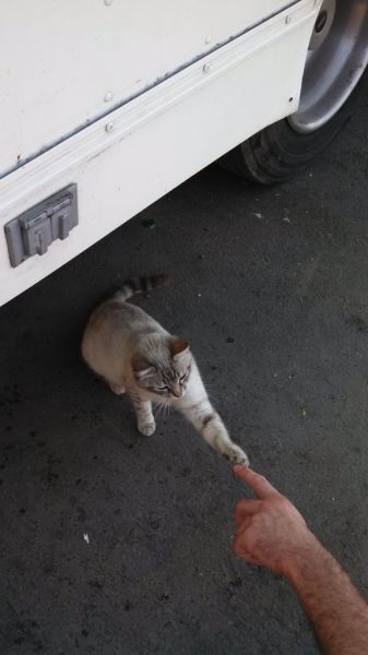 Прикольные картинки  (101 фото)