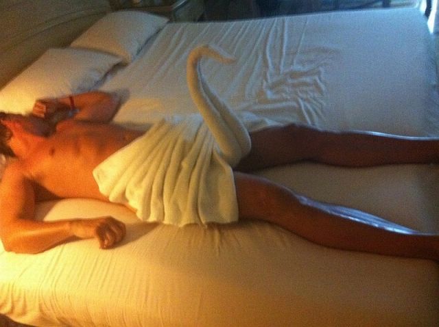 Прикольные картинки  (101 фото)