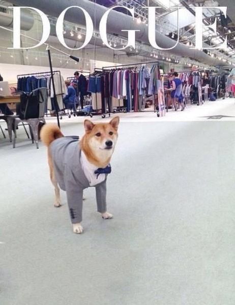 Прикольные картинки  (101 фото)