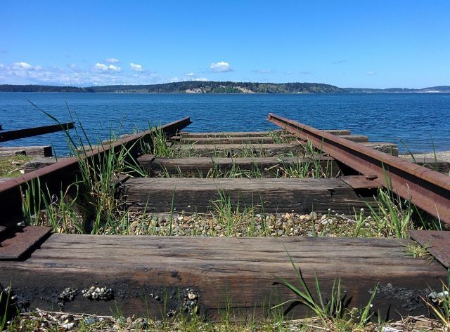 Прикольные картинки  (101 фото)