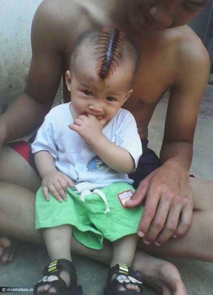 Прикольные картинки  (101 фото)