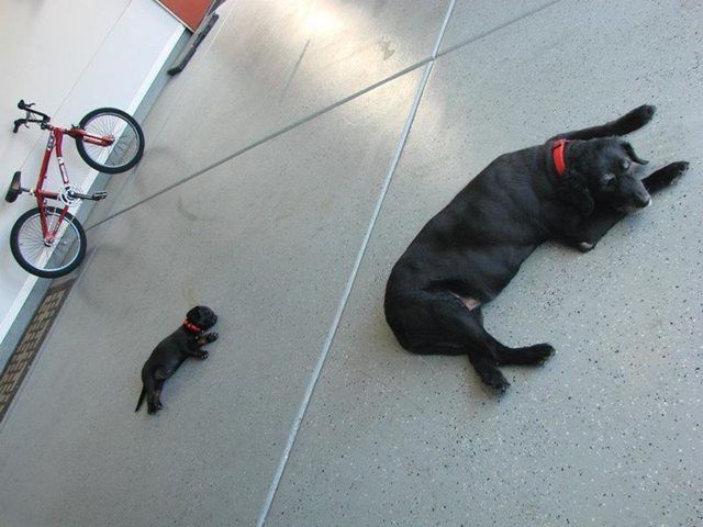 Прикольные картинки  (101 фото)