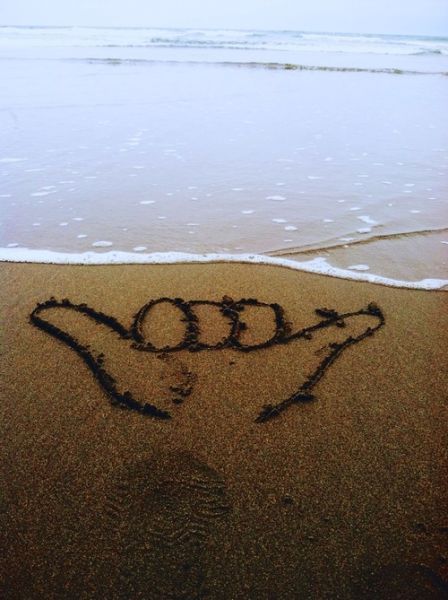 Прикольные картинки  (101 фото)