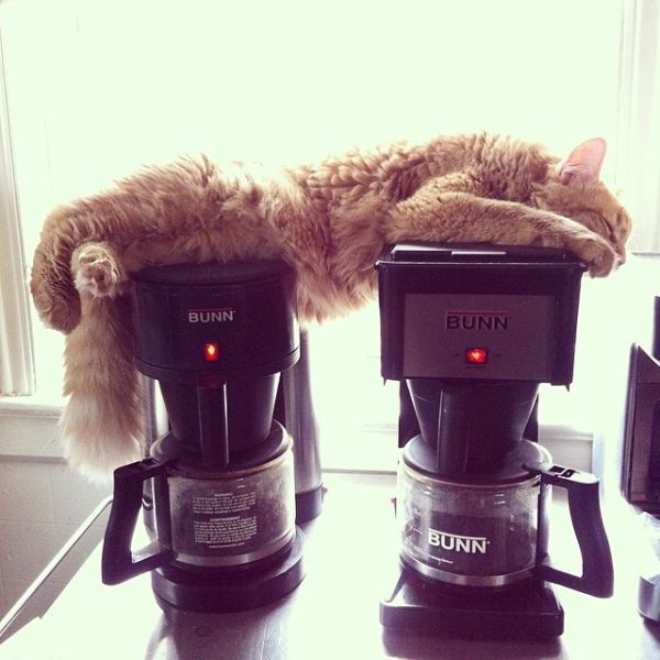 Прикольные картинки  (101 фото)