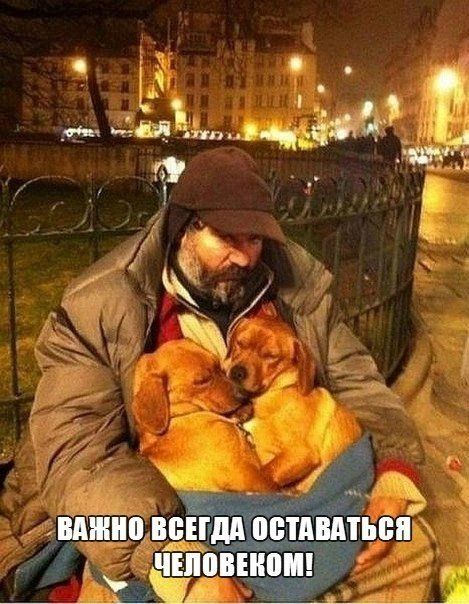 Прикольные картинки  (101 фото)