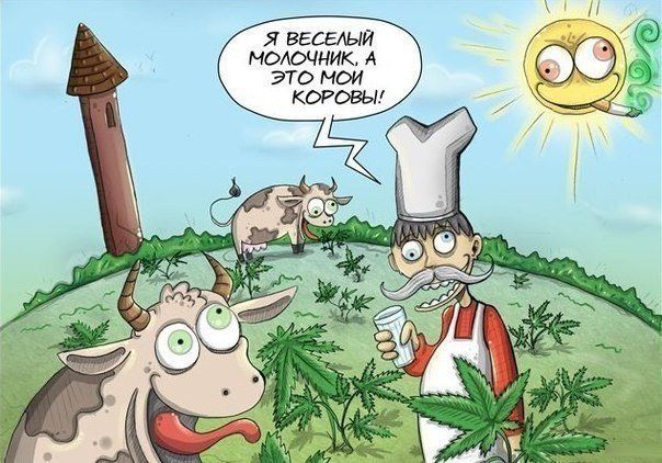 Прикольные картинки  (101 фото)