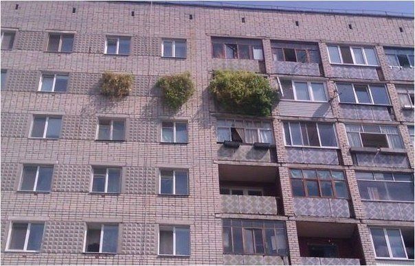 Прикольные картинки  (101 фото)