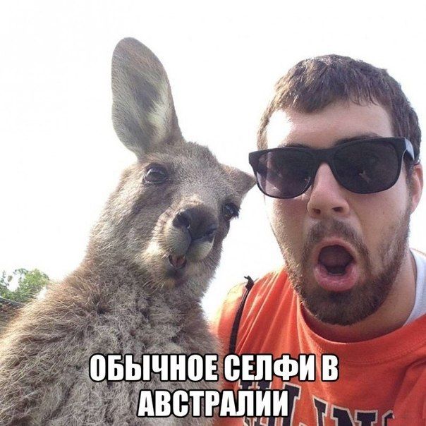 Прикольные картинки  (101 фото)