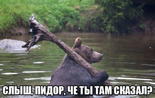 Прикольные картинки  (101 фото)