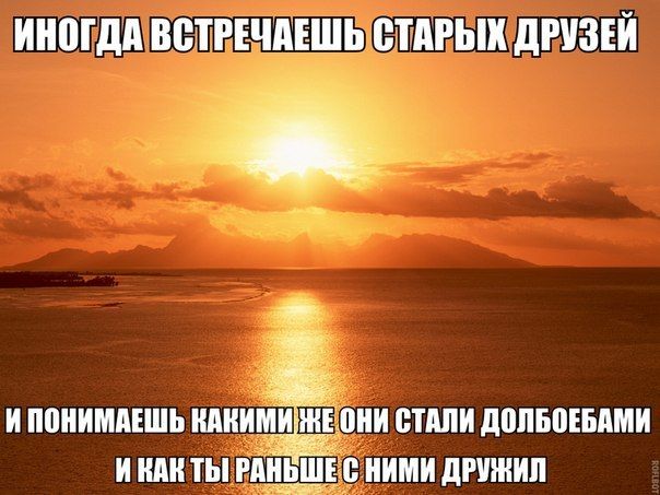 Прикольные картинки  (101 фото)