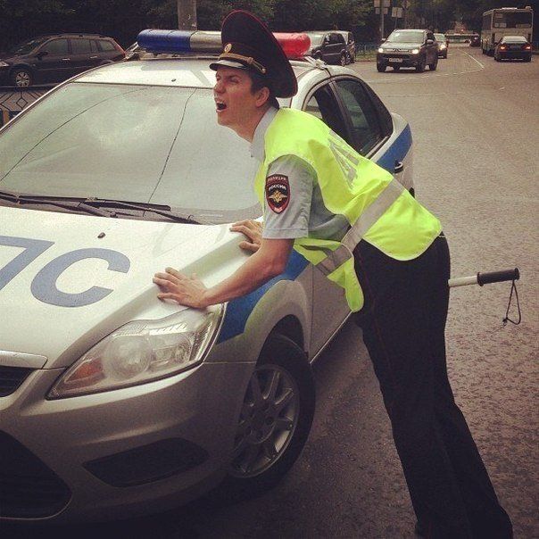 Прикольные картинки  (101 фото)