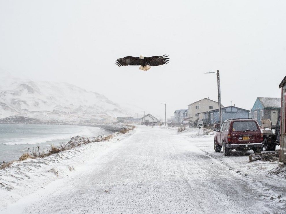 Жизнь фотографа-рыбака с Аляски