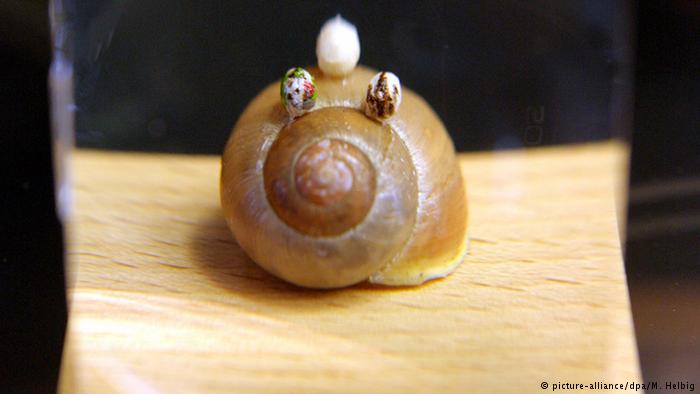 Как проходят пасхальные выставки в Германии