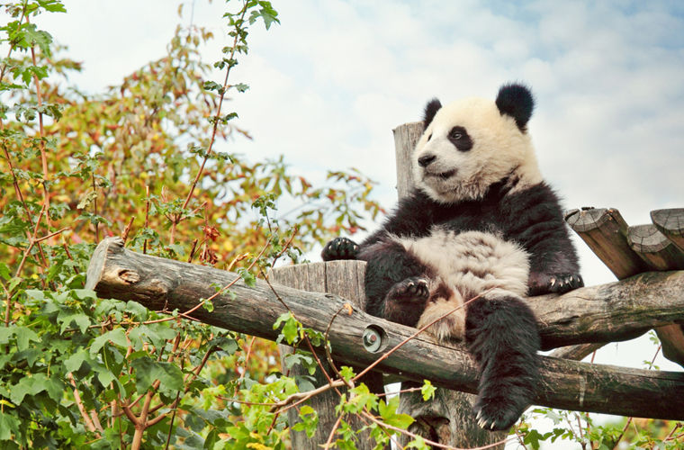 Советы для туристов, собравшихся посетить Вену