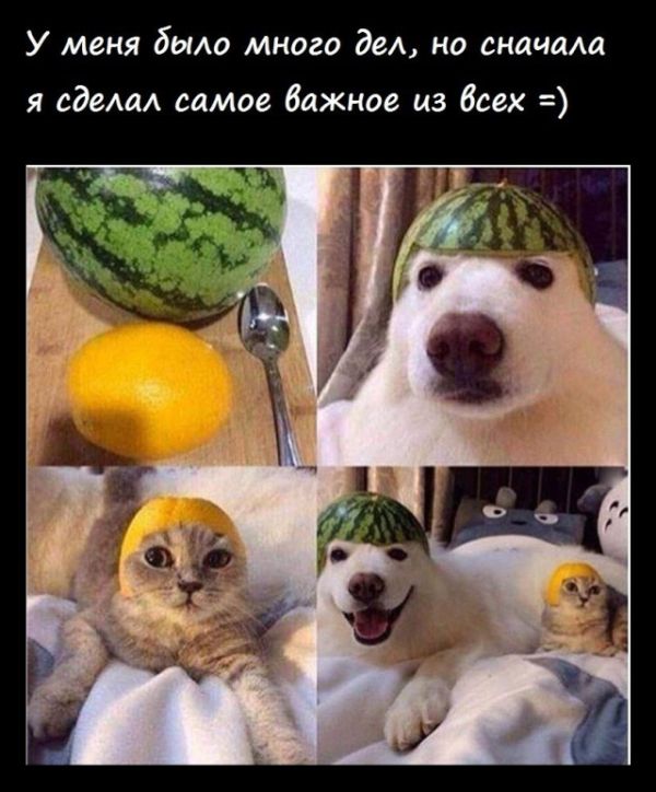Смешные комиксы