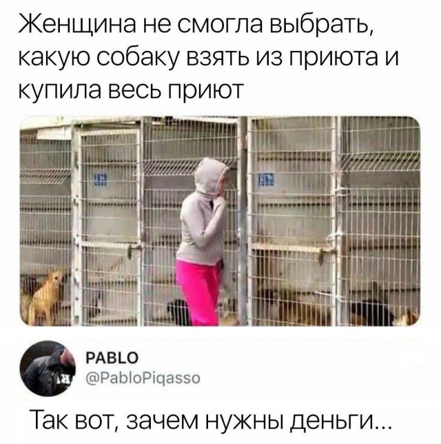Смешные картинки с подписями