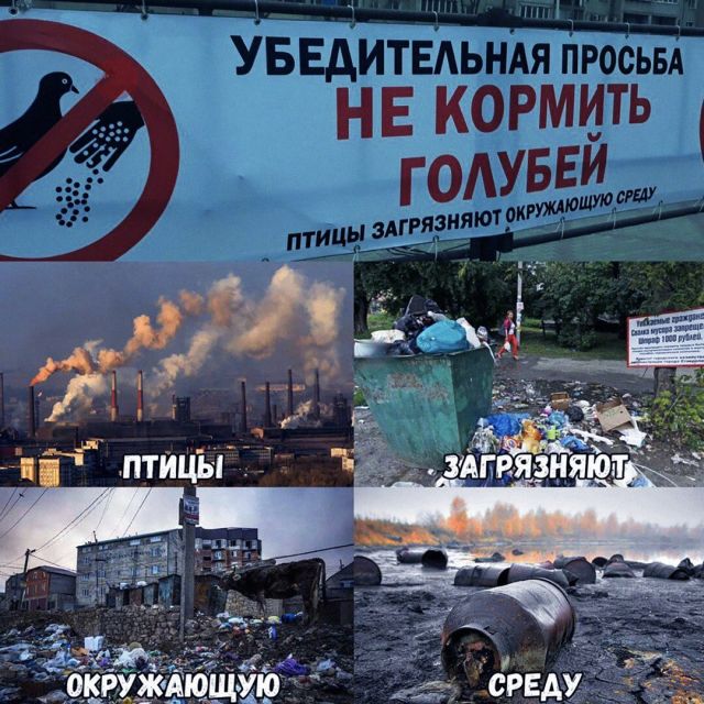 Смешные картинки с подписями