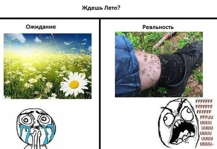 Веселые комиксы