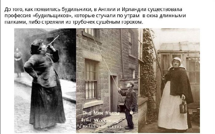 Факты о разном