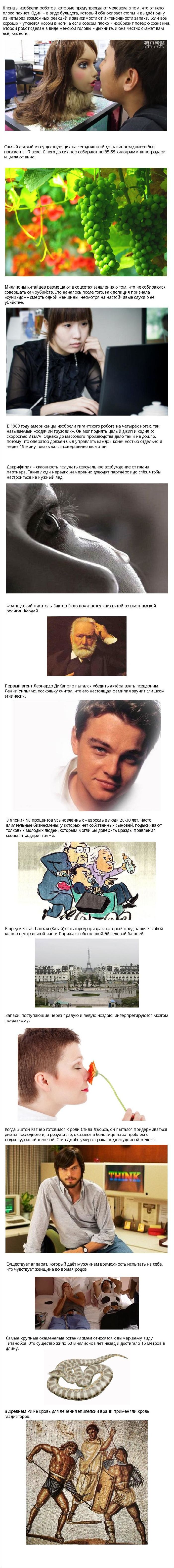 Факты о разном