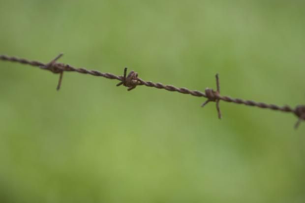 Изобретения, которые не нуждаются в улучшении Изобретения, которые не нуждаются в улучшении