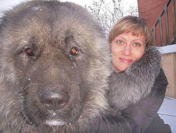 Прикольные картинки