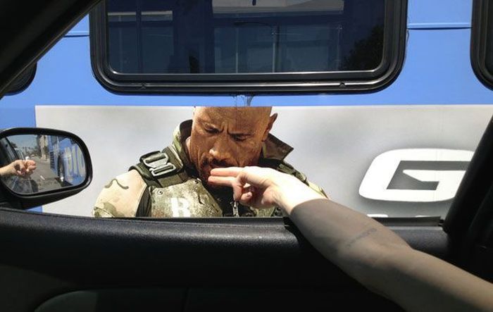 Прикольные картинки