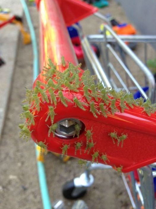 Прикольные картинки