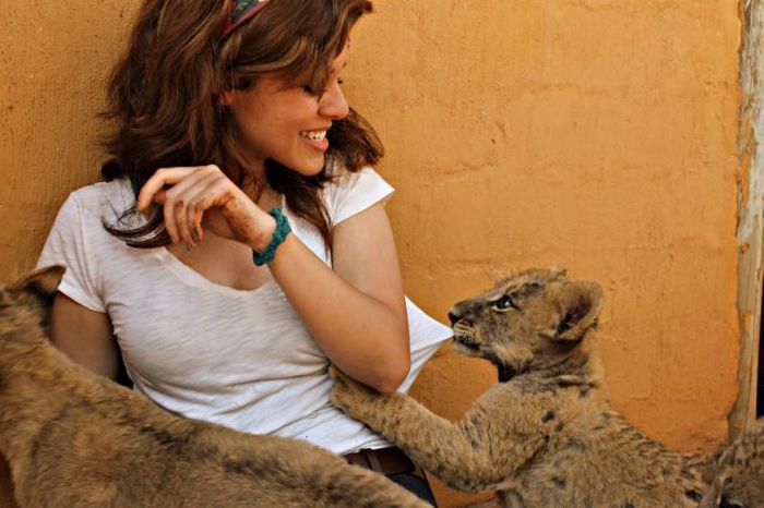 Прикольные картинки